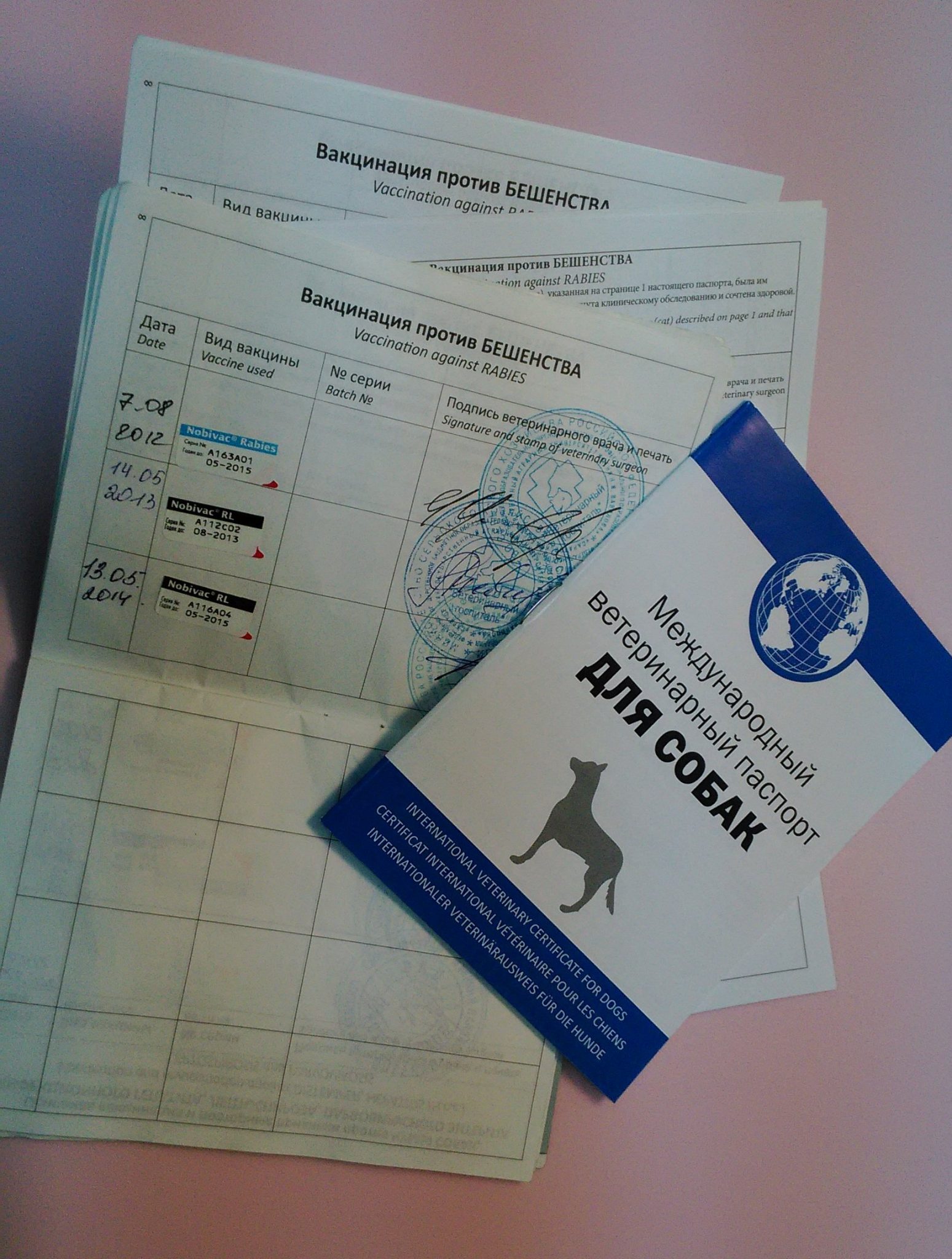 О ветеринарном паспорте животного