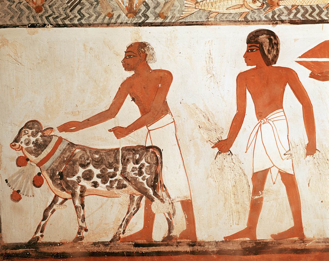История Ветеринарии. Ветеринария древнего Египта.