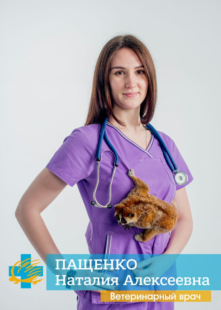 Ветеринарный врач Пащенко Н. А. в отпуске с 06 по 19 июля 2020 г