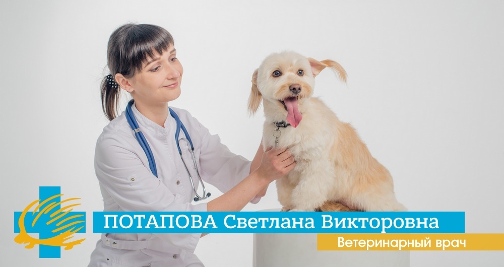 Ветеринарный врач Потапова С. В. с 01.06.2020 ведет прием в ветеринарной клинике Родентовет