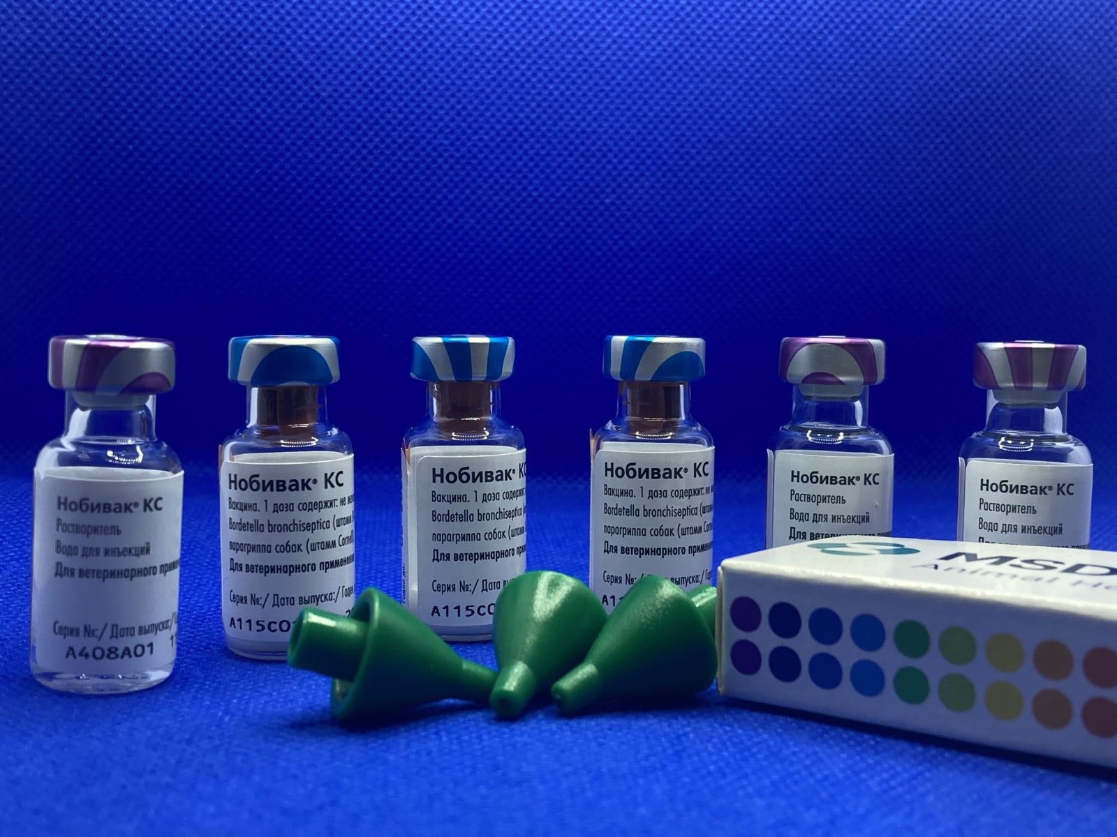 Вакцинация Нобивак KC против питомникового кашля в Родентовет