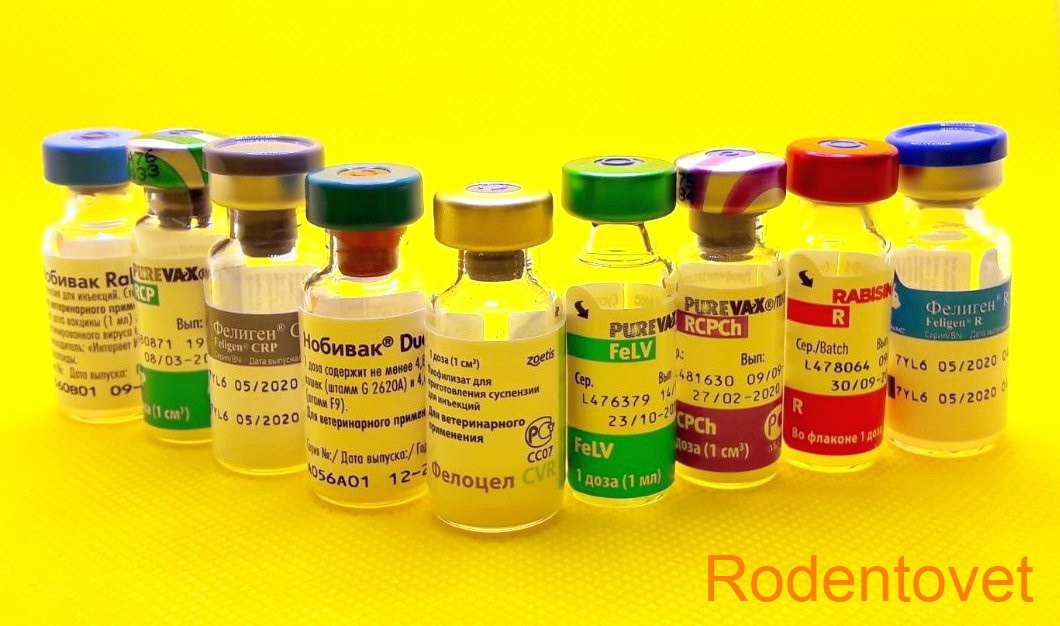 Актуальный список вакцин для профилактики болезней КОШЕК 
