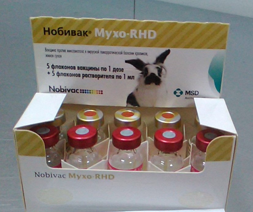 Новая вакцина для кроликов против ВГБК и миксоматоза от компании Нобивак
