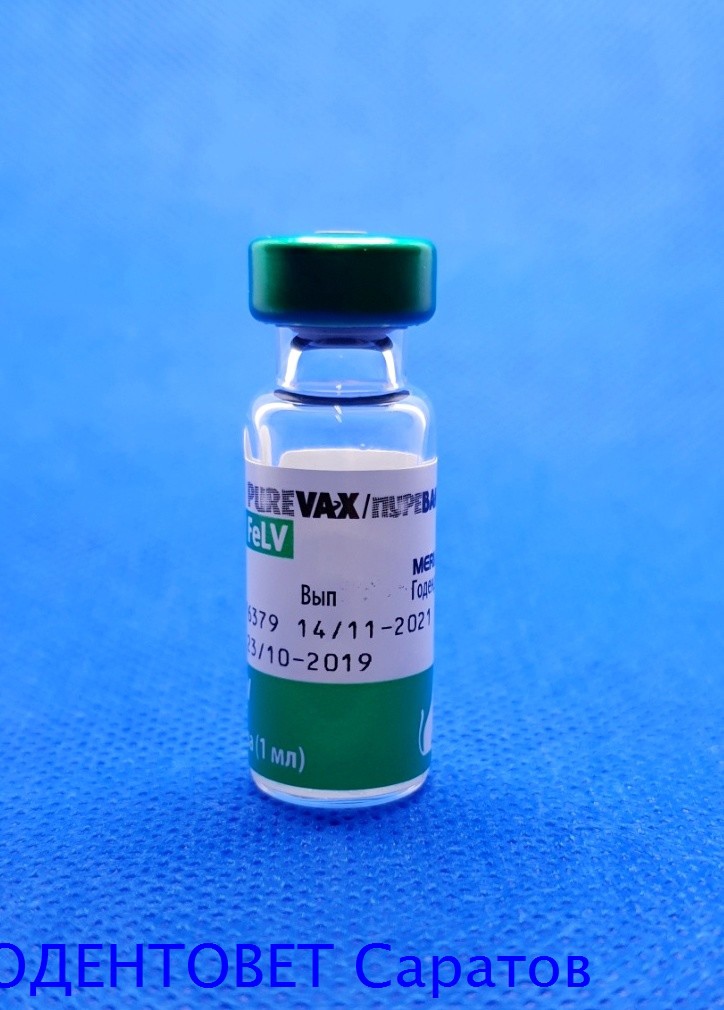 Пуревакс FELV вакцина. Пуревакс лейкоз. Вакцина против лейкемии кошек. Вакцина от вирусного лейкоза кошек.