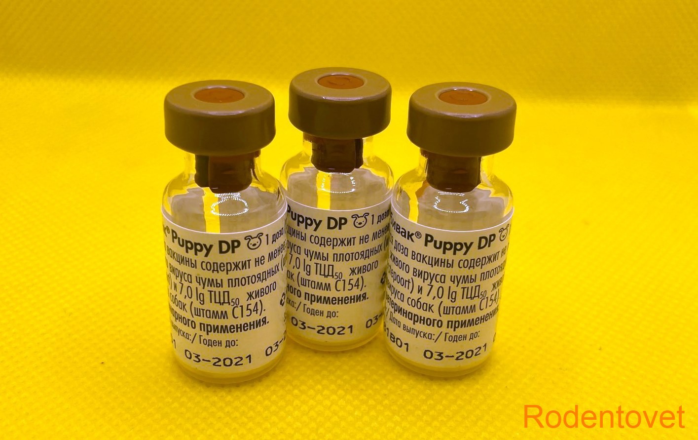 Вакцинация хорьков против чумы плотоядных в тезисах