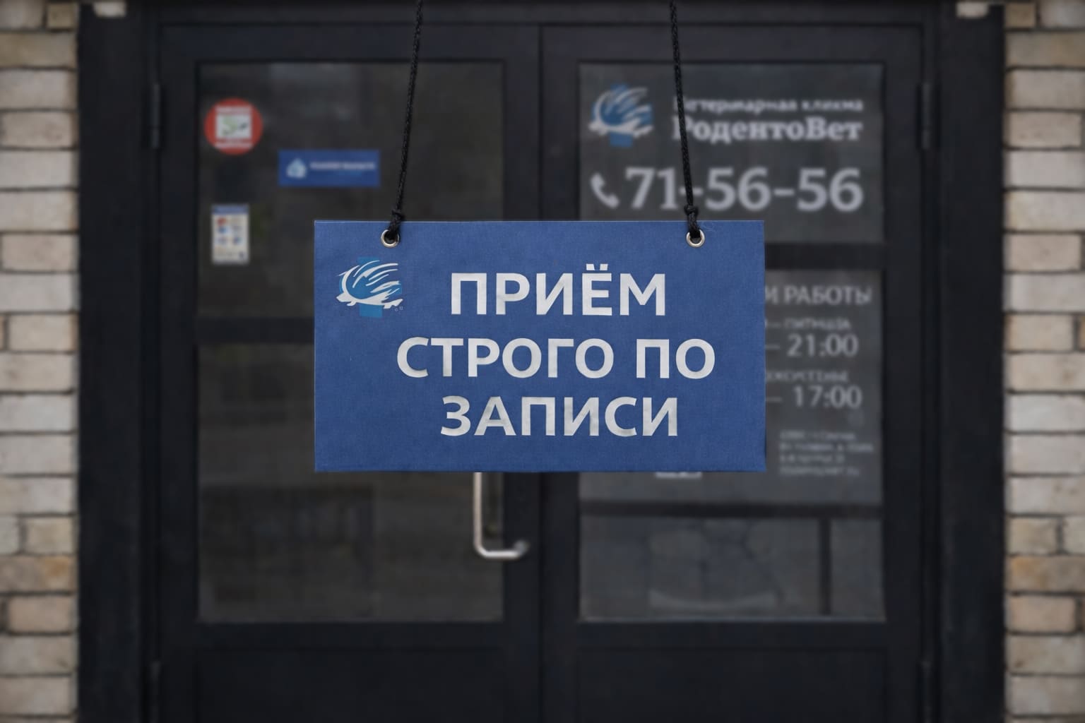 Работа ветеринарной клиники Родентовет осуществляется строго по предварительной записи