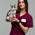 Шапошникова Елена Сергеевна