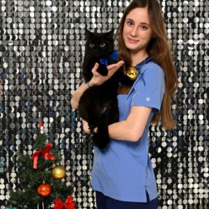 Новости Новое