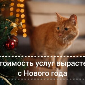 Новости Новое