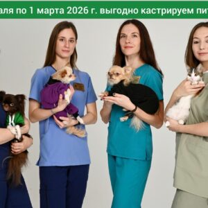 Новости Новое