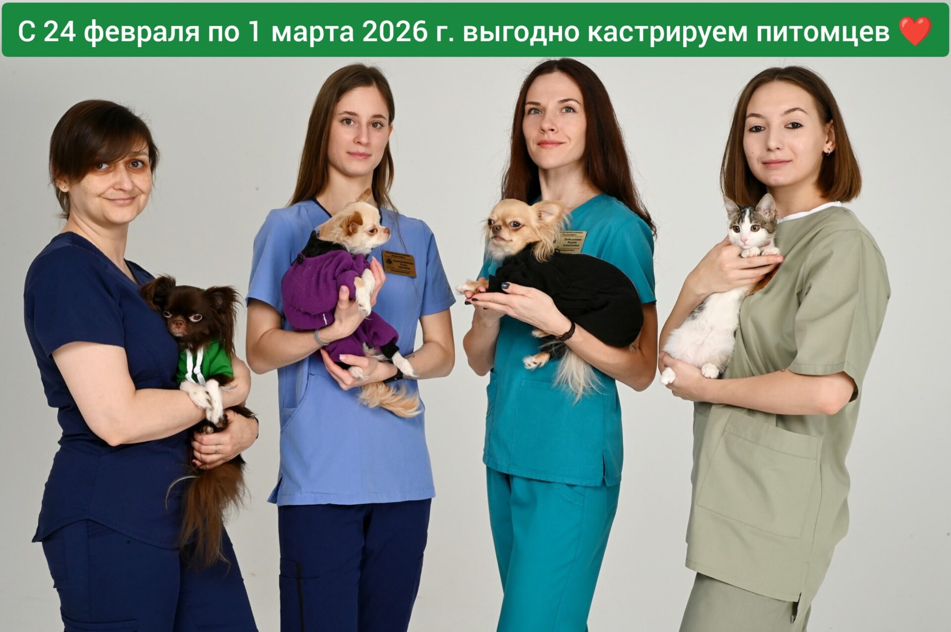 ОТКРЫТА ЗАПИСЬ НА КАСТРАЦИЮ ПО УЛËТНОЙ СТОИМОСТИ!