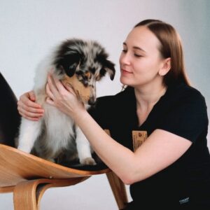 Новости Новое