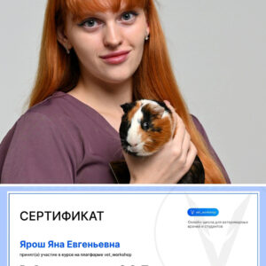 Новости Новое